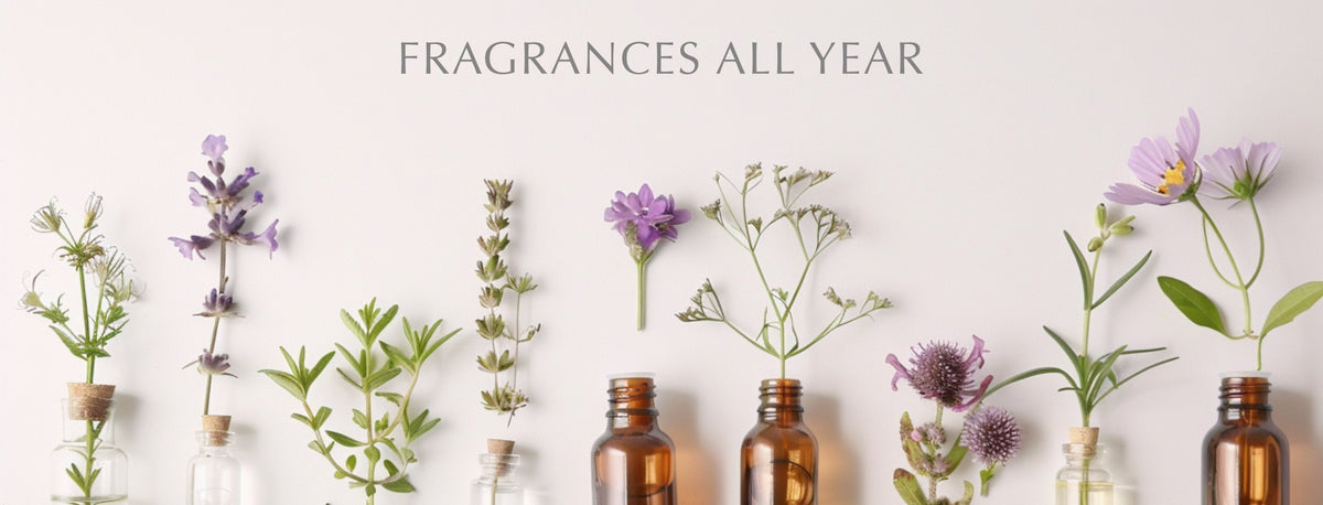 Fragrances All Year